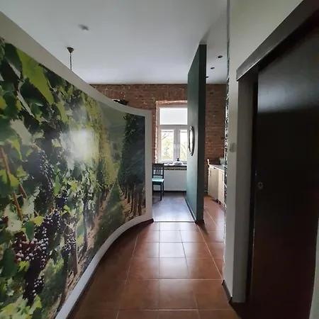 Nowy Rynek 10 * 普沃茨克