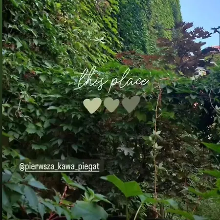 Nowy Rynek 10 아파트