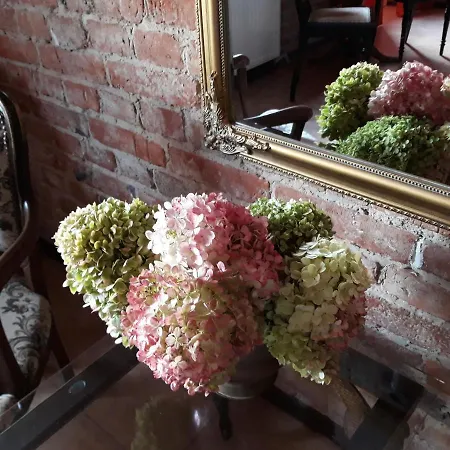 Nowy Rynek 10 Lejlighed Płock